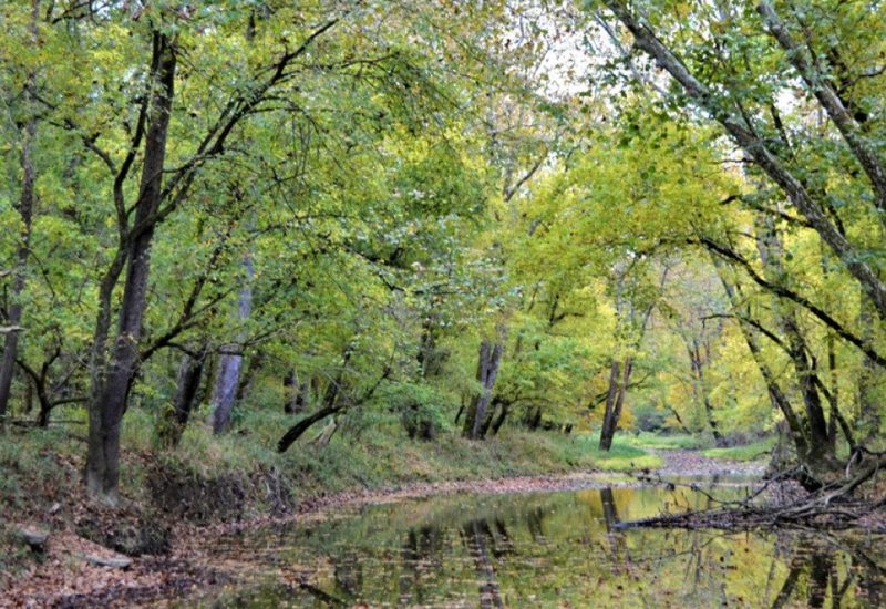 The wildlife refuge system is quietly falling apart